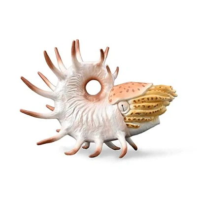 Afbeelding van COLLECTA Cooperoceras (XL)