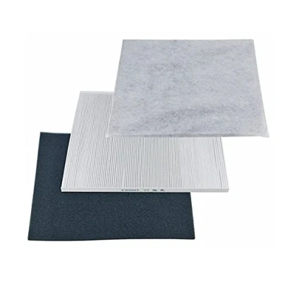 Afbeelding van delonghi Filtre hepa dap700e 5537000900