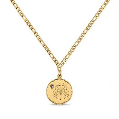 Afbeelding van GD GOOD.designs EST. 2015 gouden geboortesteen ketting voor vrouwen 18K sterrenbeeld hanger ketting, Roestvrij staal