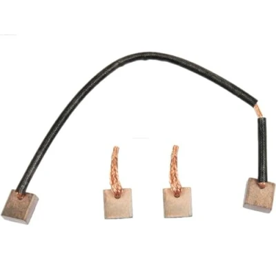 Afbeelding van AS PL SB1010 Koolborstel, startmotor