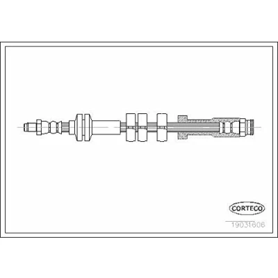 Afbeelding van CORTECO 19031606 Remslang Vooras 445 FIAT: Seicento / 600 Hatchback