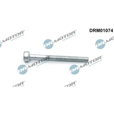 Afbeelding van Schroef, inspuitstukhouder Dr.Motor Automotive DRM01074