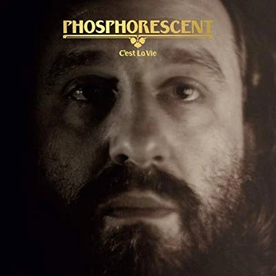 Afbeelding van Phosphorescent C&#039;est La Vie (LP)