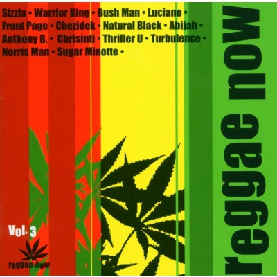 Afbeelding van Various Artists Reggae Now Vol. 3 (CD)