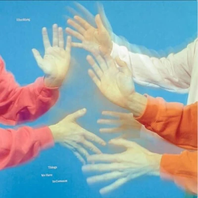 Afbeelding van Efterklang Things We Have In Common (LP)
