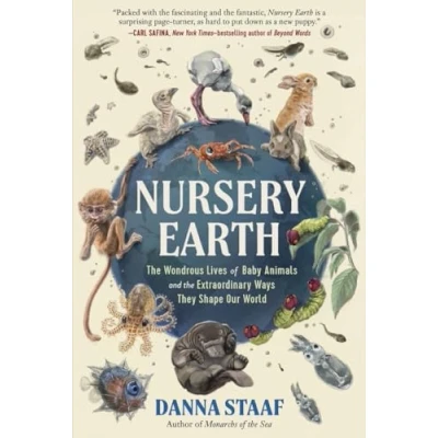 Afbeelding van Nursery Earth