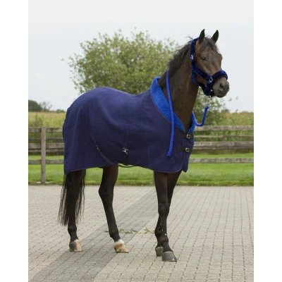 Afbeelding van QHP Alaska halster donkerblauw maat:pony