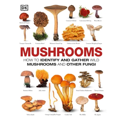 Afbeelding van Mushrooms