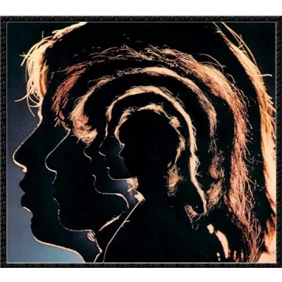 Afbeelding van The Rolling Stones Hot Rocks (1964 1971) (CD)