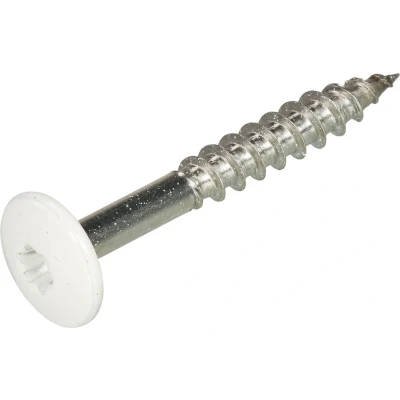Afbeelding van Schroef voor Trespa RVS A2 4.8 x 25 mm T20 RAL9010 zuiver wit doos á 100 stuks