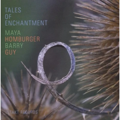 Afbeelding van Maya Homburger &amp; Barry Guy Tales Of Enchantment (CD)