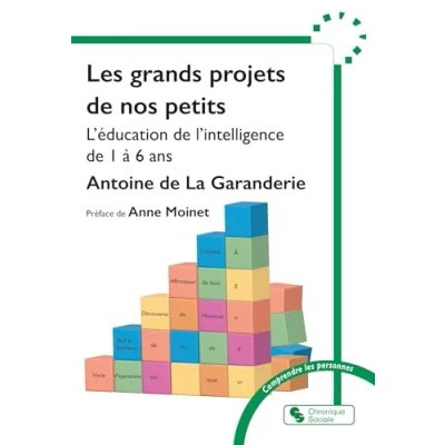 Afbeelding van LES GRANDS PROJETS DE NOS PETITS