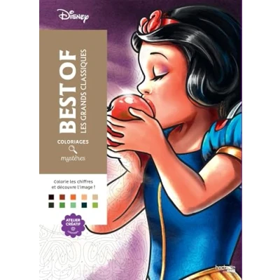 Afbeelding van Coloriages Mysteres Disney Best of Les Grands Classiques Kleurboek voor volwassenen hachette heroes