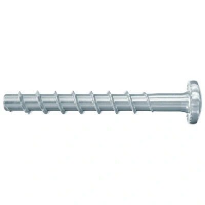Afbeelding van Fischer FBS II 6X60/5 Betonschroef Cilinderkop 100 stuks (Levertijd ca. 5 10 werkdagen)