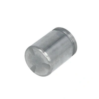 Afbeelding van AUTOFREN SEINSA D025235 Zuiger, remklauw 38