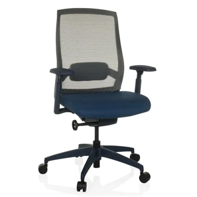 Afbeelding van COLORE High end bureaustoel Blauw