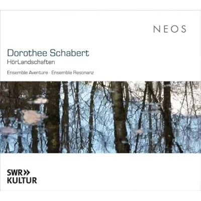 Afbeelding van Ensemble Resonanz &amp; Aventure Dorothee Schabert: Hörlandschaften (CD)