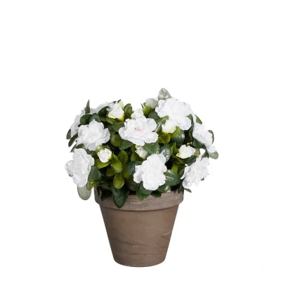 Afbeelding van Azalea Kunstplant in Bloempot Stan H31 x Ø26 cm Wit