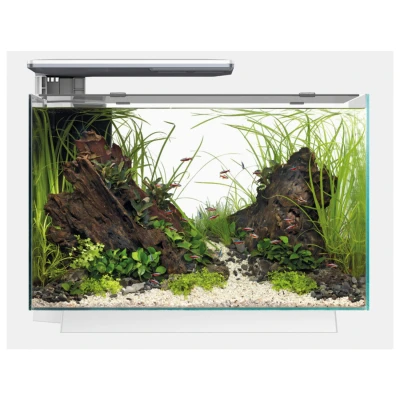 Afbeelding van Superfish Quadro 70 Pro Wit