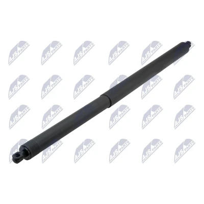 Afbeelding van NTY AE CH 063 Gasveer achterklep Links achter