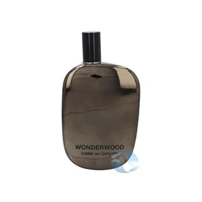 Afbeelding van Comme des Garçons Wonderwood 100 ml Eau de Parfum Spray