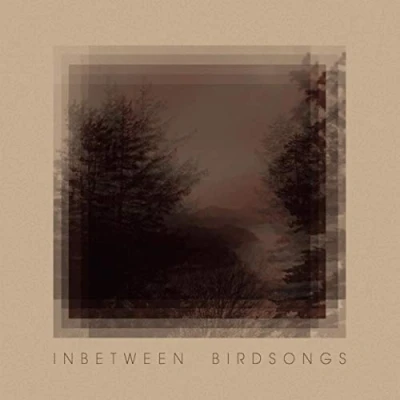 Afbeelding van Matthias Gusset Inbetween Birdsongs
