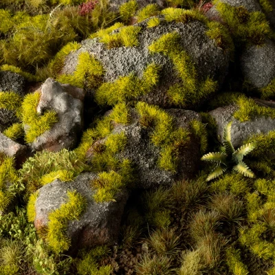 Afbeelding van Moss Wild Tuft 2mm GG2 MO