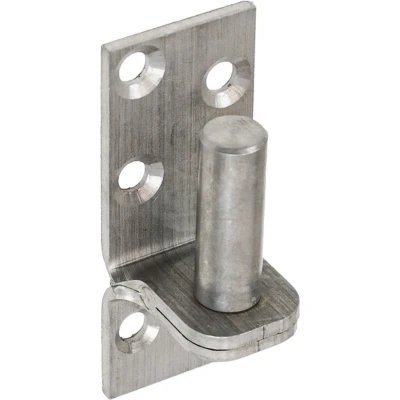 Afbeelding van Wovar Plaatduim RVS 16 mm Per Stuk