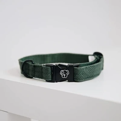 Image de Kentucky Collier Lézard Vert 28 40cm