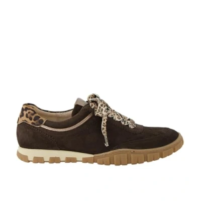 Afbeelding van Paul Green Sneakers laag, Dames, Maat: 42.5, Dark brown Schoenen