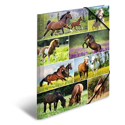 Afbeelding van HERMA 19452 set van 3 DIN A3 mappen stevig karton met volledige en elastische binnenprint voor kinderen, jongens meisjes