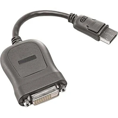 Afbeelding van Lenovo 45J7915 Adapter [1x DVI D stekker 1x DisplayPort stekker] Zwart