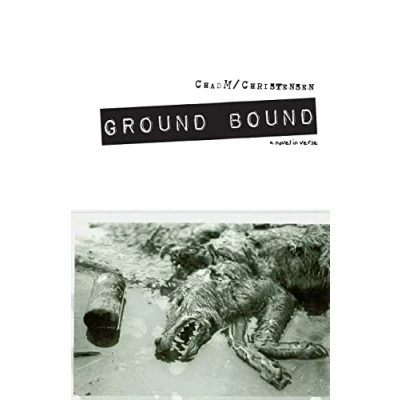 Afbeelding van Ground Bound