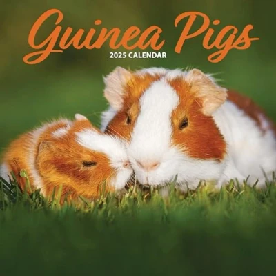 Afbeelding van Cavia Kalender 2025