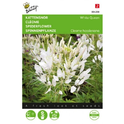 Afbeelding van Zaden cleome kattensnor white queen 0.5 gram Buzzy