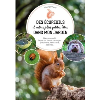Image de Des écureuils dans mon jardin