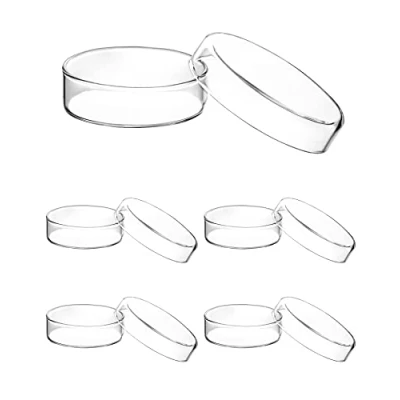 Afbeelding van QWORK® 5 stuks petrischalen van borosilicaatglas met deksel voor wetenschappelijke laboratoriumprojecten, school, 60 mm x 18