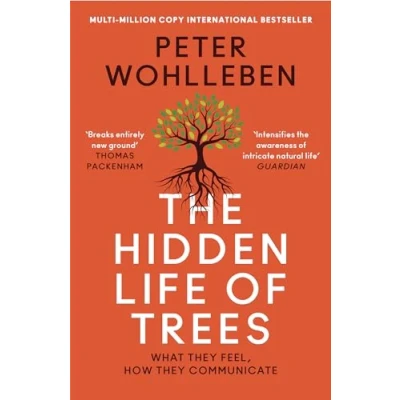 Image de The hidden life of trees