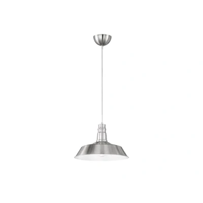 Afbeelding van REALITY WILL Hanglamp Nikkel mat excl. 1x E27 60W