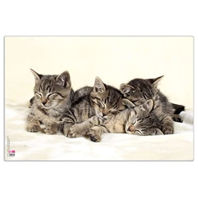 Afbeelding van Veloflex 4651114 bureauonderlegger voor katten, 40 x 60 cm, antislip, gemakkelijk te reinigen, met reflecterende transparante beschermfolie, bureausteun, schildermat