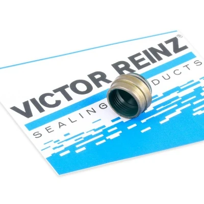 Afbeelding van Reinz Klepsteeldichting 70 25837 00