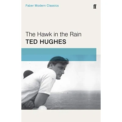 Afbeelding van Hawk In The Rain