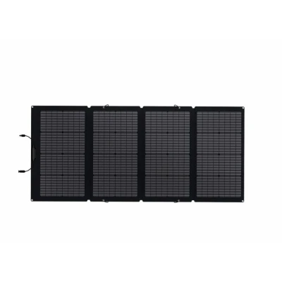 Image de Ecoflow Panneau Solaire 160w Portable Gris
