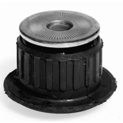 Afbeelding van LEMFÖRDER 10071 02 Ophanging, drager automatische transmissie