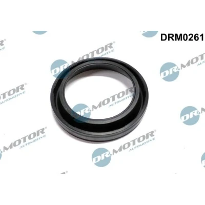 Afbeelding van Pakking, verstuiverhouder Dr.Motor Automotive DRM0261