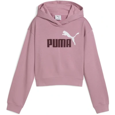 Afbeelding van PUMA Sweat à capuche Ess 2 couleurs n 1 pour fille avec logo Tr G (lot de 1)