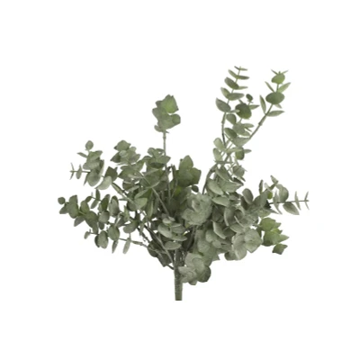 Afbeelding van Eucalyptus groen Countryfield
