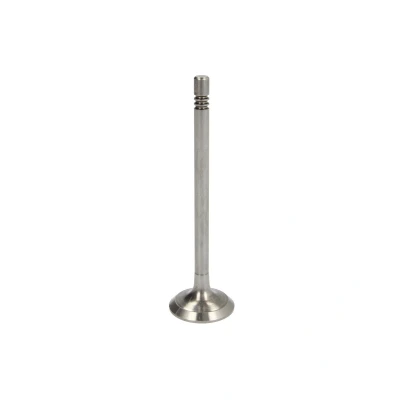 Afbeelding van AMP PVWG036 A 0 N Uitlaatklep 28 VOLKSWAGEN: Polo IV Hatchback, Golf 4, Fox SKODA: Fabia I 2, SEAT: Ibiza 3