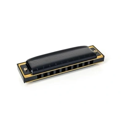 Afbeelding van Hohner Pro Harp MS in D Dur Diatonische mondharmonica