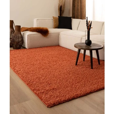 Afbeelding van Hoogpolig Vloerkleed Shaggy Trend Effen Terracotta 60x110 Cm